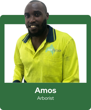 Amos, Arborist