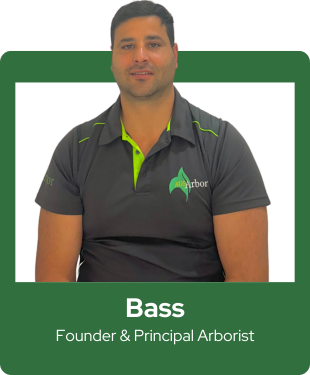 Bass, Founder & Principal Arborist